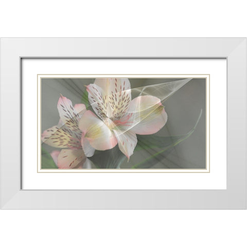 Illusion in Pink White Modern Wood Framed Art Print with Double Matting by Simons