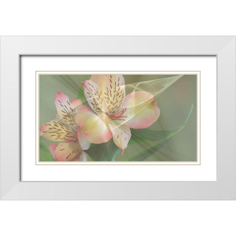 Illusion in Yellow White Modern Wood Framed Art Print with Double Matting by Simons