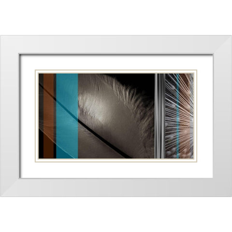 Light as a Feather I White Modern Wood Framed Art Print with Double Matting by Simons