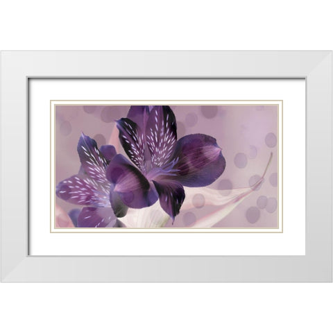 Misty in Lavender White Modern Wood Framed Art Print with Double Matting by Simons