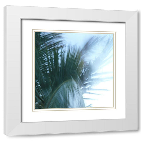 Misty Palm White Modern Wood Framed Art Print with Double Matting by Simons