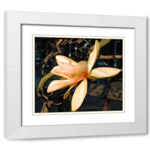 Radient White Modern Wood Framed Art Print with Double Matting by Simons