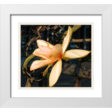 Radient White Modern Wood Framed Art Print with Double Matting by Simons