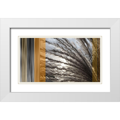 Sunlit Amber I White Modern Wood Framed Art Print with Double Matting by Simons