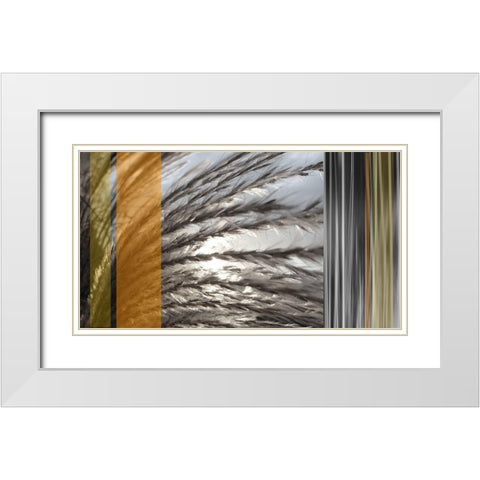 Sunlit Amber II White Modern Wood Framed Art Print with Double Matting by Simons