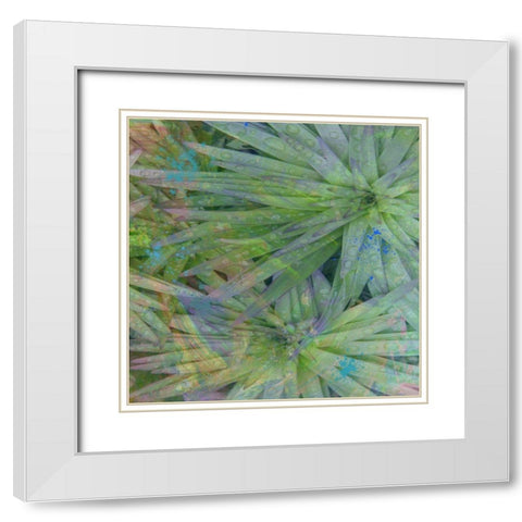 Syan II White Modern Wood Framed Art Print with Double Matting by Simons