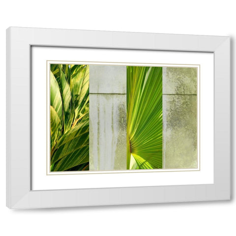 Up Against the Wall White Modern Wood Framed Art Print with Double Matting by Simons