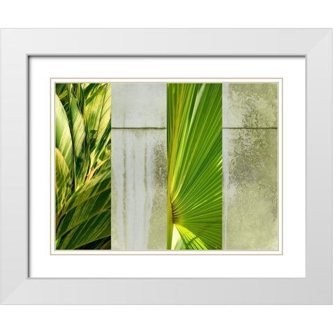 Up Against the Wall White Modern Wood Framed Art Print with Double Matting by Simons