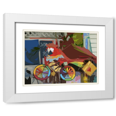 Key West Parrot White Modern Wood Framed Art Print with Double Matting by Mack