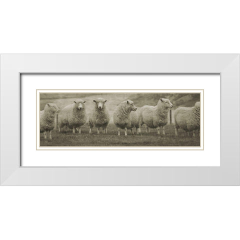 Pasture Graze  White Modern Wood Framed Art Print with Double Matting by Phillip, Jamie