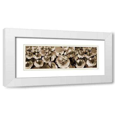 Golden Dessert White Modern Wood Framed Art Print with Double Matting by Phillip, Jamie