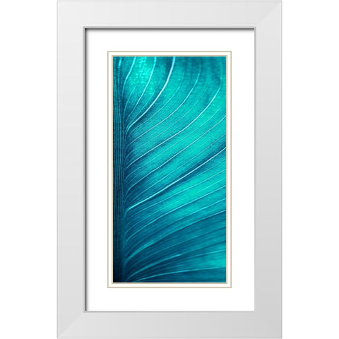 Green Tropics 2 White Modern Wood Framed Art Print with Double Matting by Phillip, Jamie