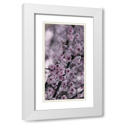 Beautiful Pink 2 White Modern Wood Framed Art Print with Double Matting by Phillip, Jamie