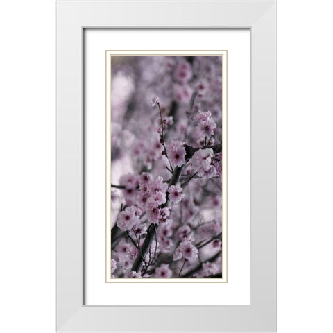 Beautiful Pink 2 White Modern Wood Framed Art Print with Double Matting by Phillip, Jamie