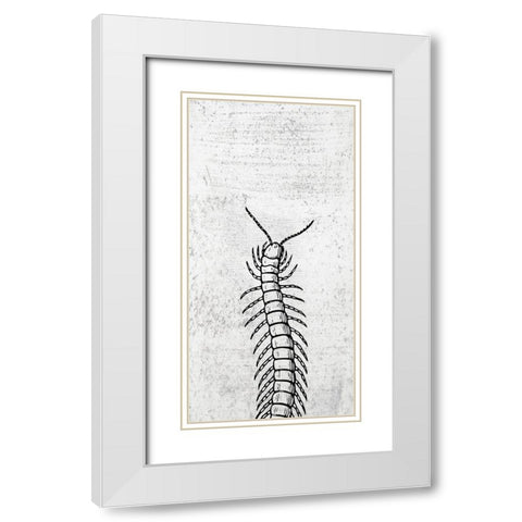 Spring Bug White Modern Wood Framed Art Print with Double Matting by Phillip, Jamie