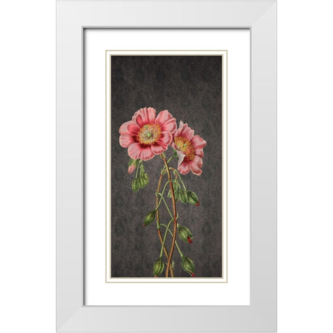 Garden White Modern Wood Framed Art Print with Double Matting by Phillip, Jamie