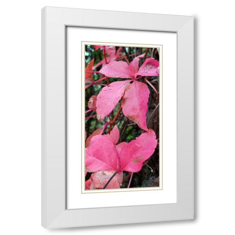 Blending Bloom 1 White Modern Wood Framed Art Print with Double Matting by Phillip, Jamie