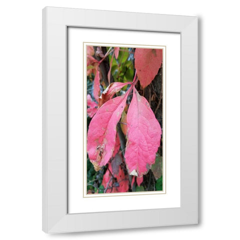 Blending Bloom 2 White Modern Wood Framed Art Print with Double Matting by Phillip, Jamie