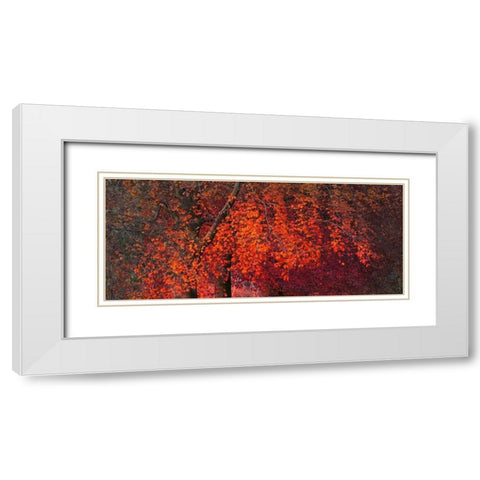 Mystical Tree White Modern Wood Framed Art Print with Double Matting by Phillip, Jamie