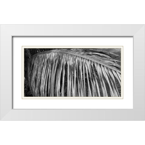 Palm Branch 2 White Modern Wood Framed Art Print with Double Matting by Phillip, Jamie