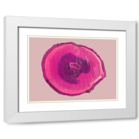 Wood Rings 4 White Modern Wood Framed Art Print with Double Matting by Phillip, Jamie