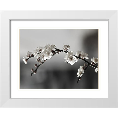 Soaked In Dew White Modern Wood Framed Art Print with Double Matting by Phillip, Jamie