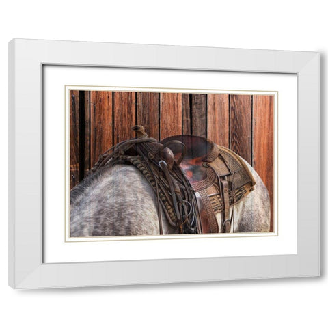 Horse On The Ranch White Modern Wood Framed Art Print with Double Matting by Phillip, Jamie