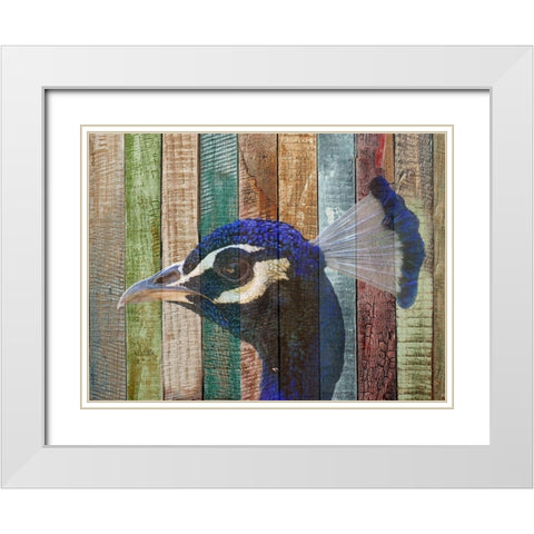 Peacock 2 White Modern Wood Framed Art Print with Double Matting by Phillip, Jamie