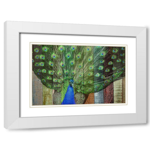 Peacock 3 White Modern Wood Framed Art Print with Double Matting by Phillip, Jamie