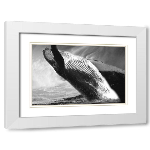 Black Whale White Modern Wood Framed Art Print with Double Matting by Phillip, Jamie