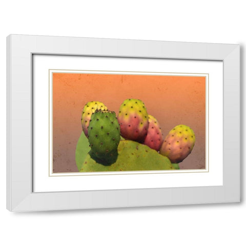 Summer Desert White Modern Wood Framed Art Print with Double Matting by Phillip, Jamie