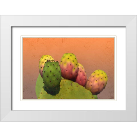 Summer Desert White Modern Wood Framed Art Print with Double Matting by Phillip, Jamie