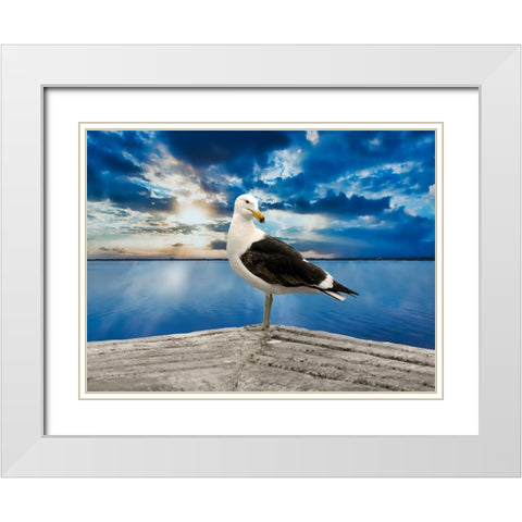 Ocean Bird White Modern Wood Framed Art Print with Double Matting by Phillip, Jamie