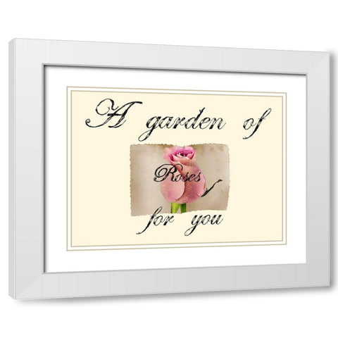 Pink Rose White Modern Wood Framed Art Print with Double Matting by Phillip, Jamie