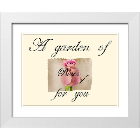 Pink Rose White Modern Wood Framed Art Print with Double Matting by Phillip, Jamie