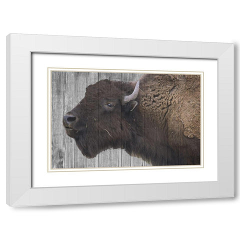 Buffalo Alpha White Modern Wood Framed Art Print with Double Matting by Phillip, Jamie