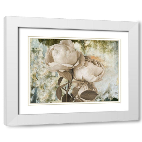 Old Rose White Modern Wood Framed Art Print with Double Matting by Phillip, Jamie
