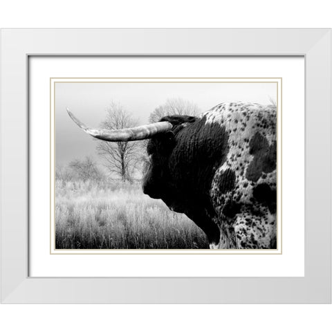 Bull On The Farm White Modern Wood Framed Art Print with Double Matting by Phillip, Jamie