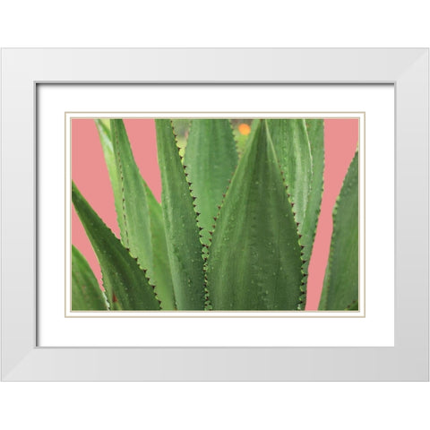 Sussulent White Modern Wood Framed Art Print with Double Matting by Phillip, Jamie