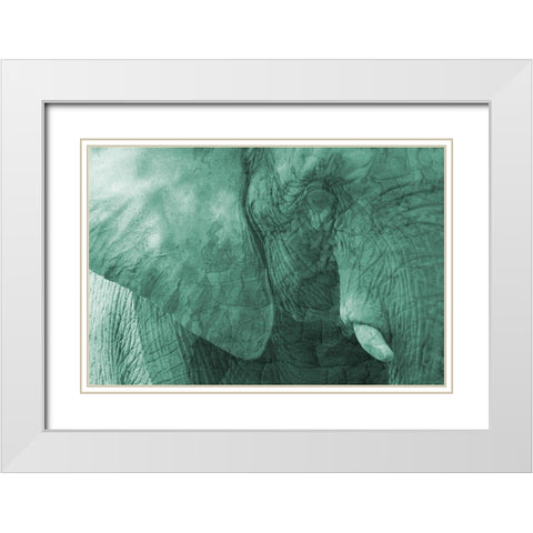 Jungle Abstract 2 White Modern Wood Framed Art Print with Double Matting by Phillip, Jamie