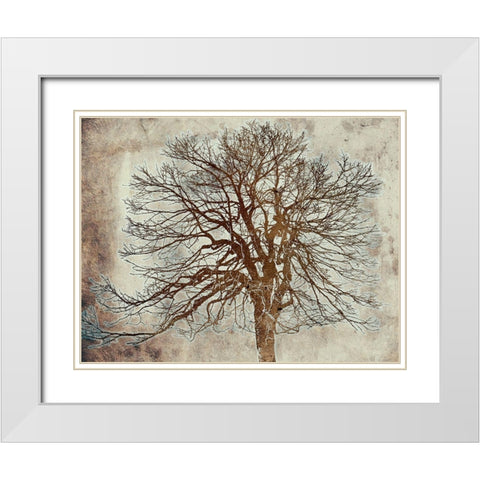 Tree White Modern Wood Framed Art Print with Double Matting by Phillip, Jamie