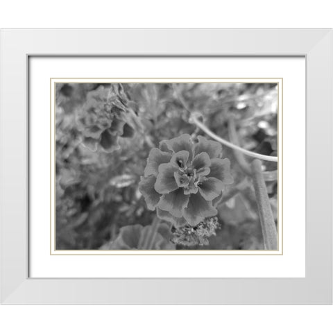 The Flower White Modern Wood Framed Art Print with Double Matting by Phillip, Jamie