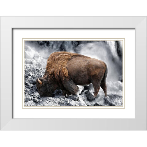 Bison Season 3 White Modern Wood Framed Art Print with Double Matting by Phillip, Jamie