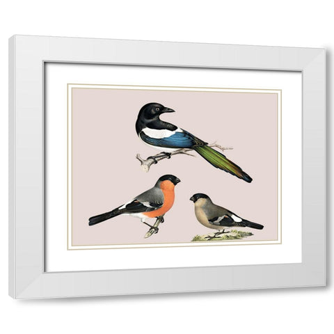 Birds White Modern Wood Framed Art Print with Double Matting by Phillip, Jamie