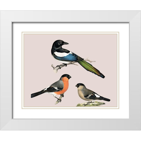 Birds White Modern Wood Framed Art Print with Double Matting by Phillip, Jamie