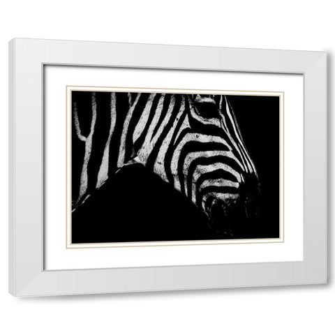 Africa Savanna 2 White Modern Wood Framed Art Print with Double Matting by Phillip, Jamie