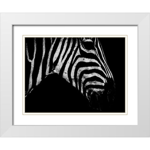 Africa Savanna 2 White Modern Wood Framed Art Print with Double Matting by Phillip, Jamie
