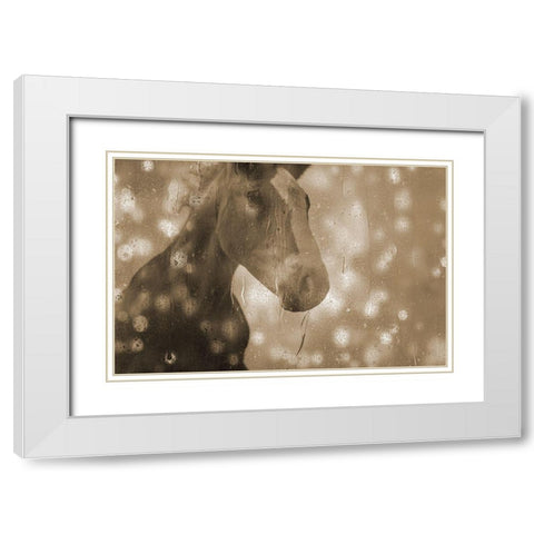 Browney Farm Horse White Modern Wood Framed Art Print with Double Matting by Phillip, Jamie