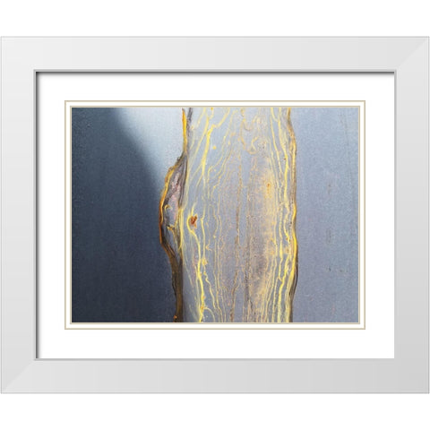Honeycomb 2 White Modern Wood Framed Art Print with Double Matting by Phillip, Jamie