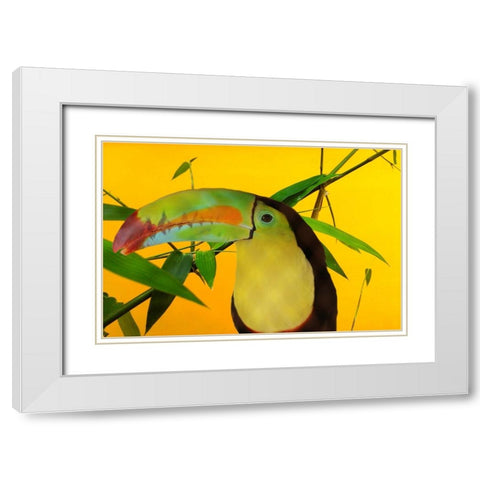 Toucan Yellow White Modern Wood Framed Art Print with Double Matting by Phillip, Jamie